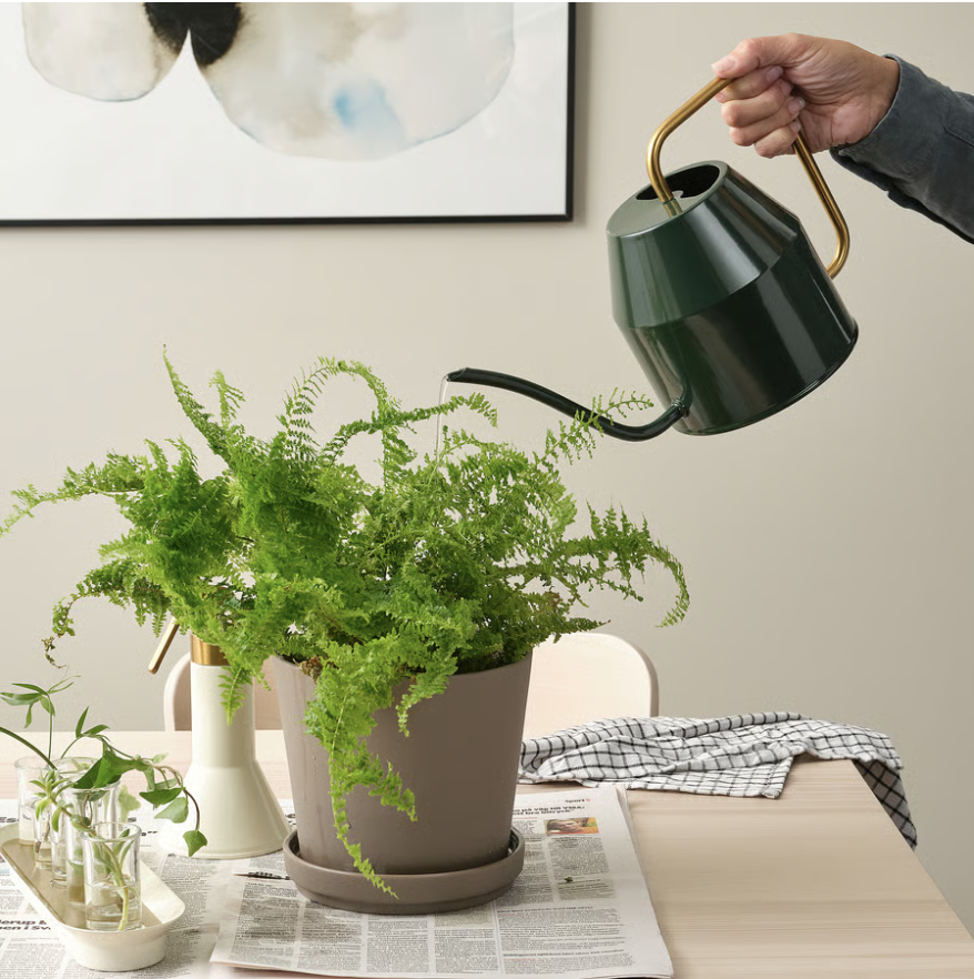 Watering Can