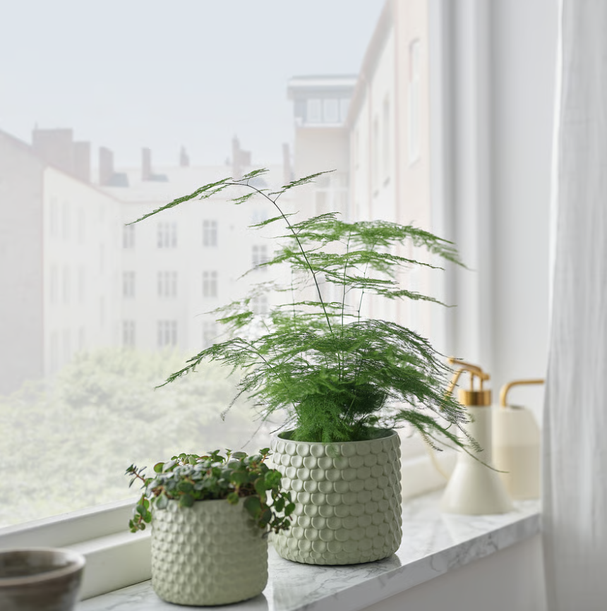 Plant pot, light green, 12 cm